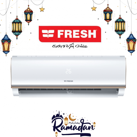 Fresh Air Conditioner 1.5 h Cool and Hot Plasma Digital Smart